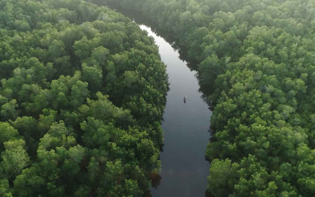 Creación de capacidades en ecoturismo comunitario para jóvenes  de comunidades del Parque  Nacional Sipacate-Naranjo