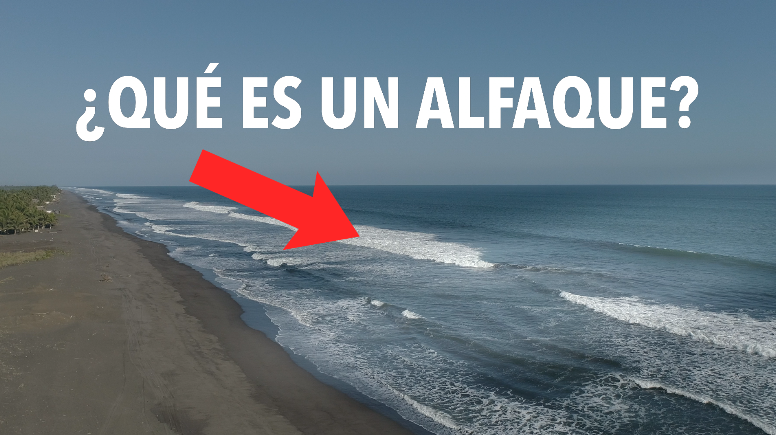 ¿Cómo reconocer un alfaque?